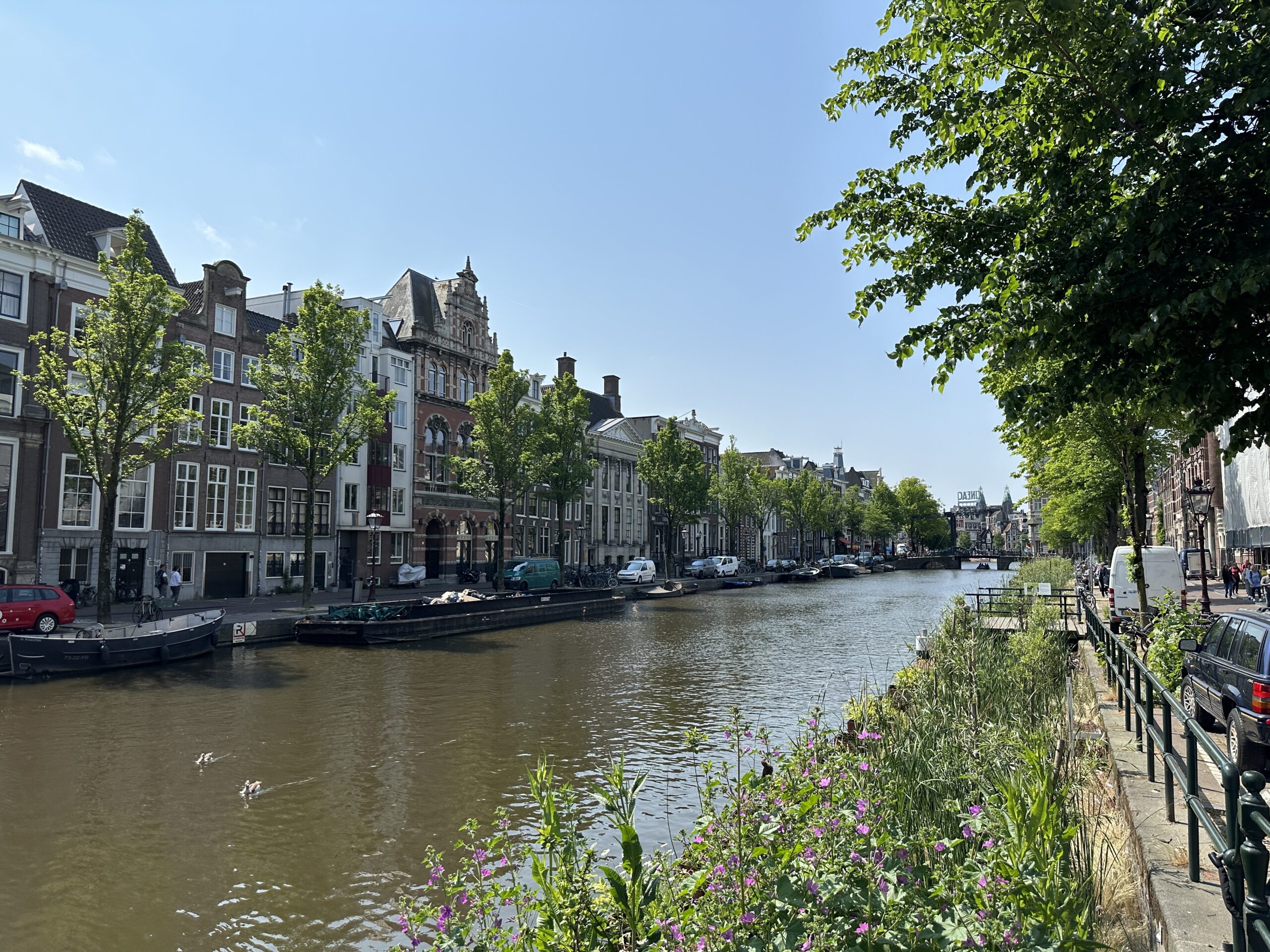 2023 Amsterdam (NED)